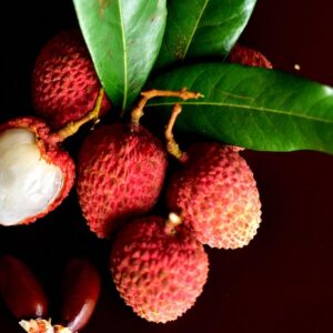 लीची Litchi